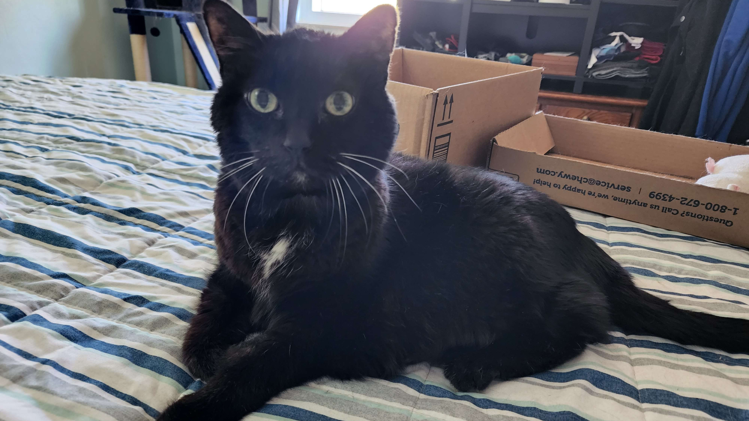 Let’s Have an Adventure