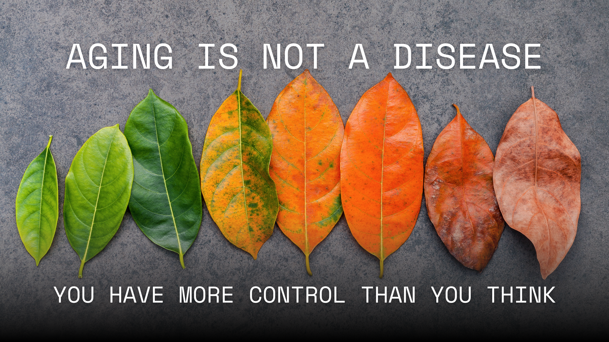 Aging Is Not A Disease