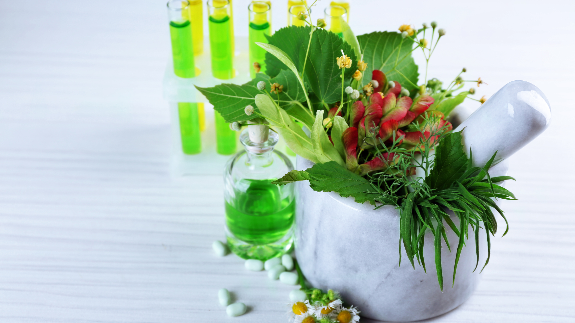 From Forest to Pharmacy